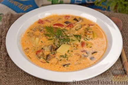 ����������� ����: �� �������� �� ����� �������� �� ����� �����