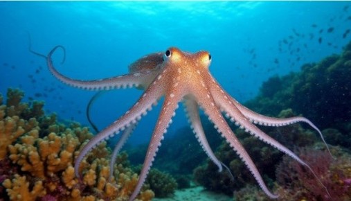 ���������� �������� � �������� �����: ������� �������� ��� ��������� �������������