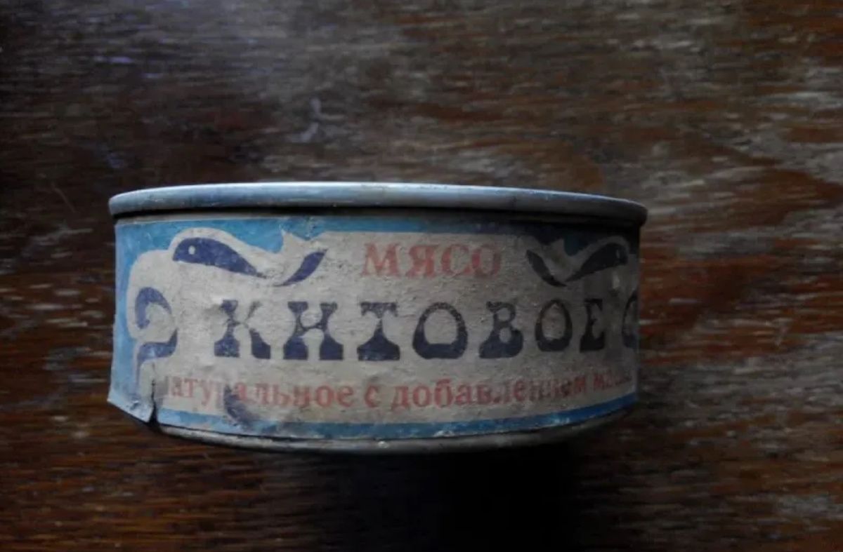 Китовая тушёнка: забытый деликатес советской эпохи вновь в центре внимания