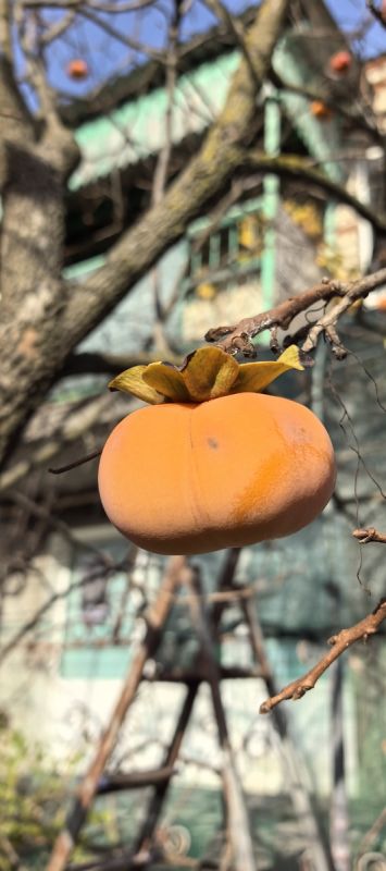 �����: ��������� ����� ����, ������� �������� � �����