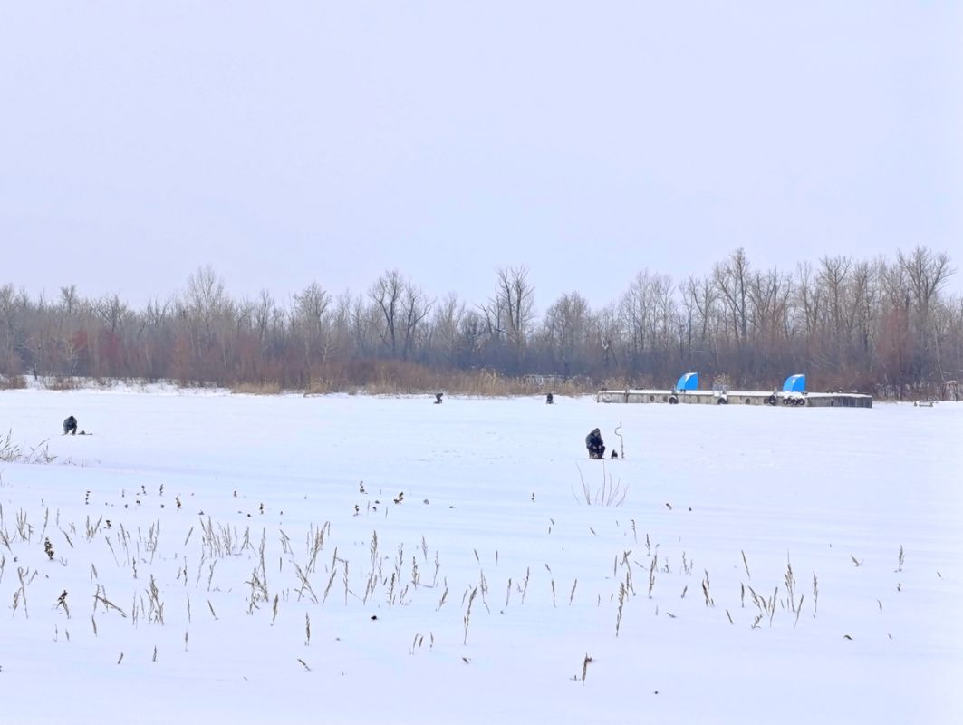 ������ ����� � ��������: ��� ����� ������������ � ��� �� �����