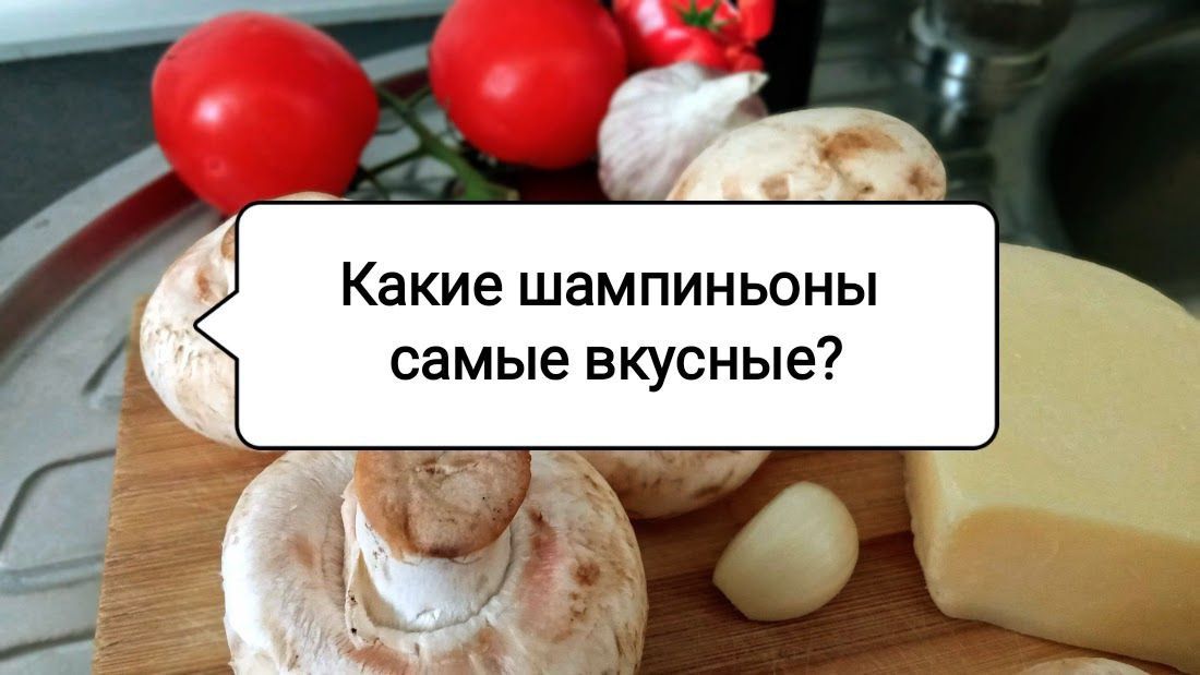 Как выбрать самые вкусные шампиньоны: секреты выбора