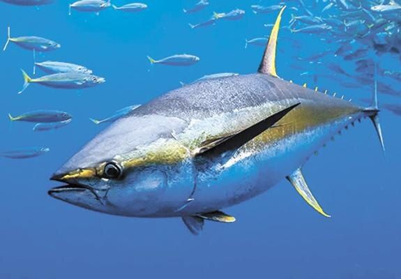 �� ������� ������� ����� ���������� ����� 2 ��������� ��������