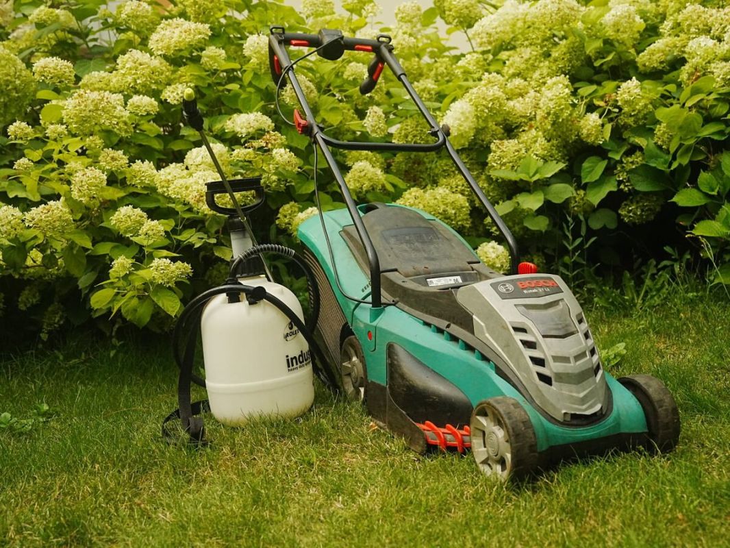 ��� ������ � �������������� ����� ����?