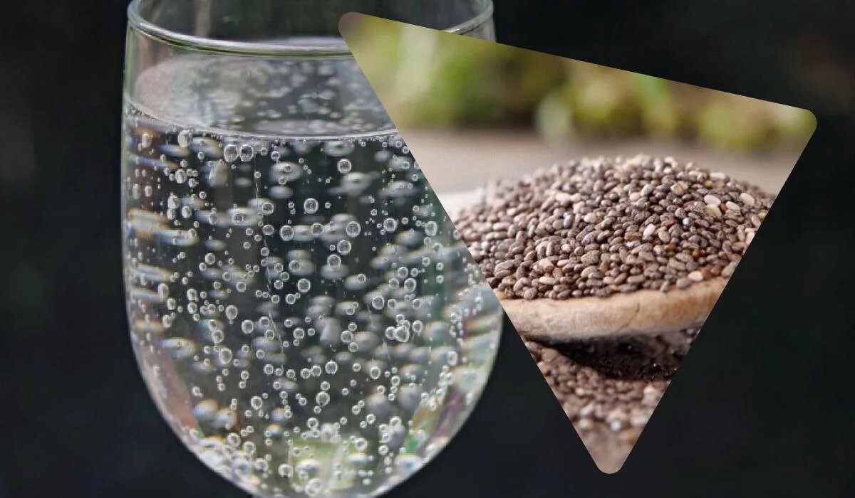 Семена чиа: секреты использования для здоровья и благополучия