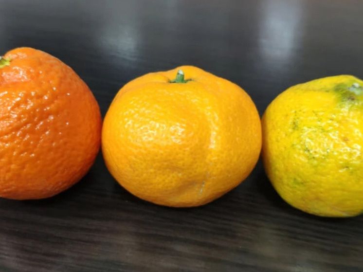 ��� ������� ��������� ��������� ��� ����������� �����