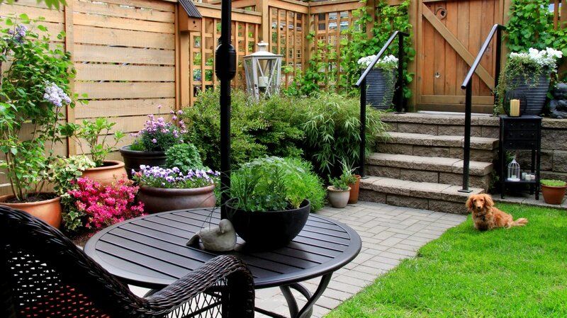 ����������� ��������� ��� �����������: 11 ���������������� ������ � �� ���������