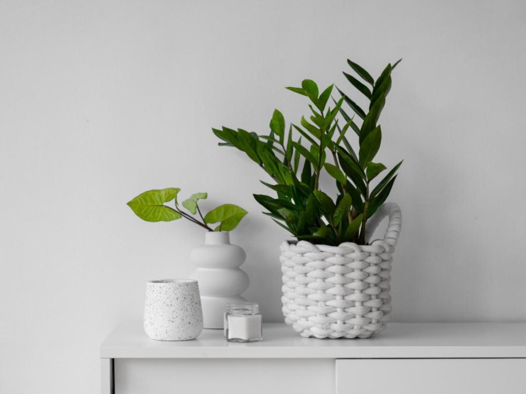 ��������, ������� ����� ������� ��������: ����� � ������� ����