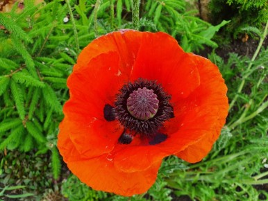 ��� ������� �������� ��� �� ����� ������� ��� ������ ������