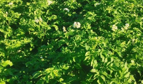 ������������ ��������� ����� ���� ����� ���������� � ����������� ��������� ������������ �����������