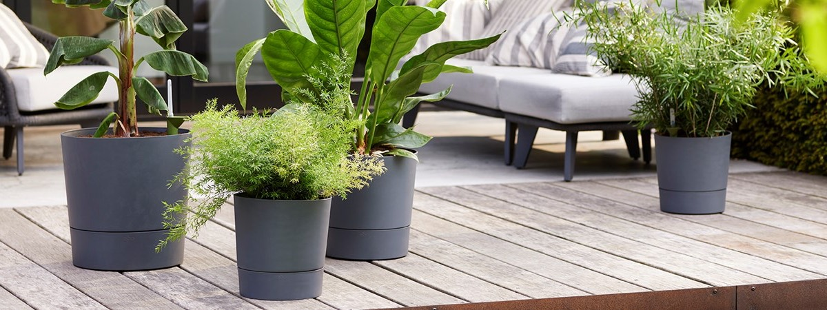 Как выбрать идеальный горшок для ваших растений: советы по стилю и уходу