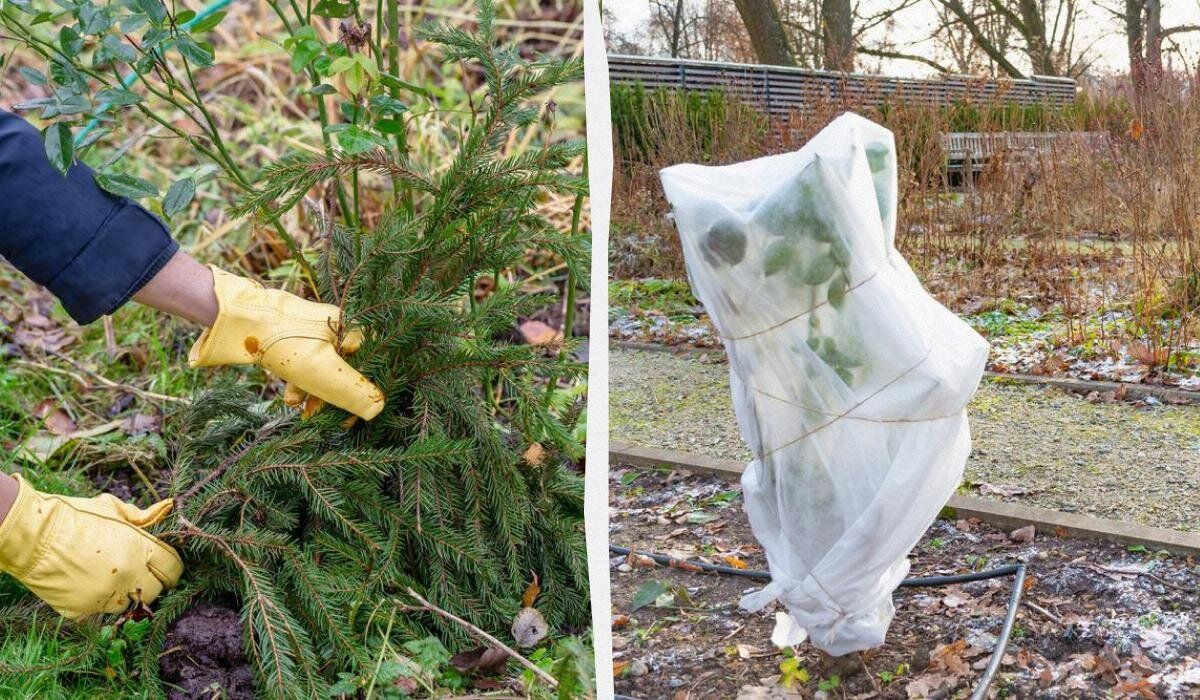 ��� ��������� ������ ���� �� ����: ������ ��� ���������� ���������