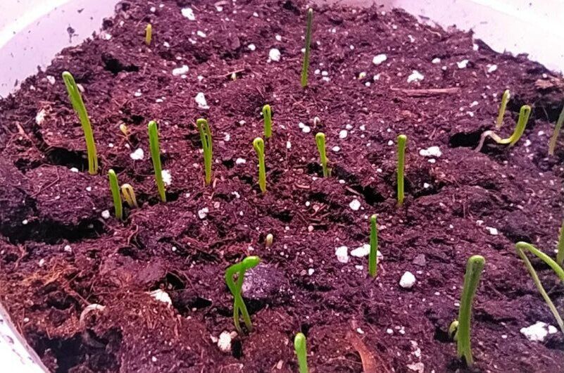 10 ���������� ������ � ����������� ���� ���������