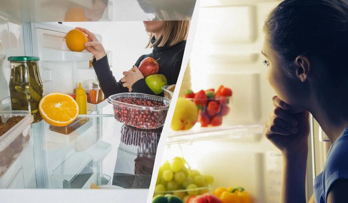 Как правильно организовать пространство холодильника для длительного хранения продуктов