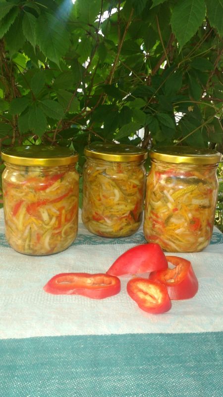 ����� �� ���� ��� �����: ��������, ������� ������� ���������