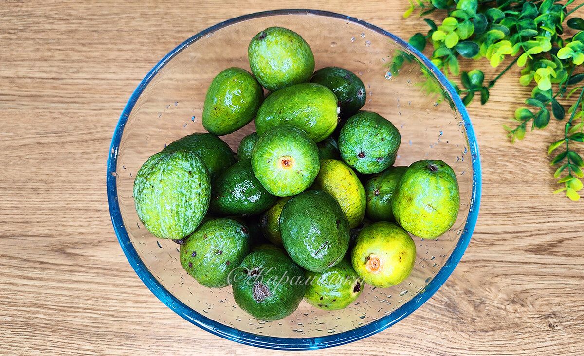 ����� ������� �� ������: ������ ������ ��������� �������� �� �����