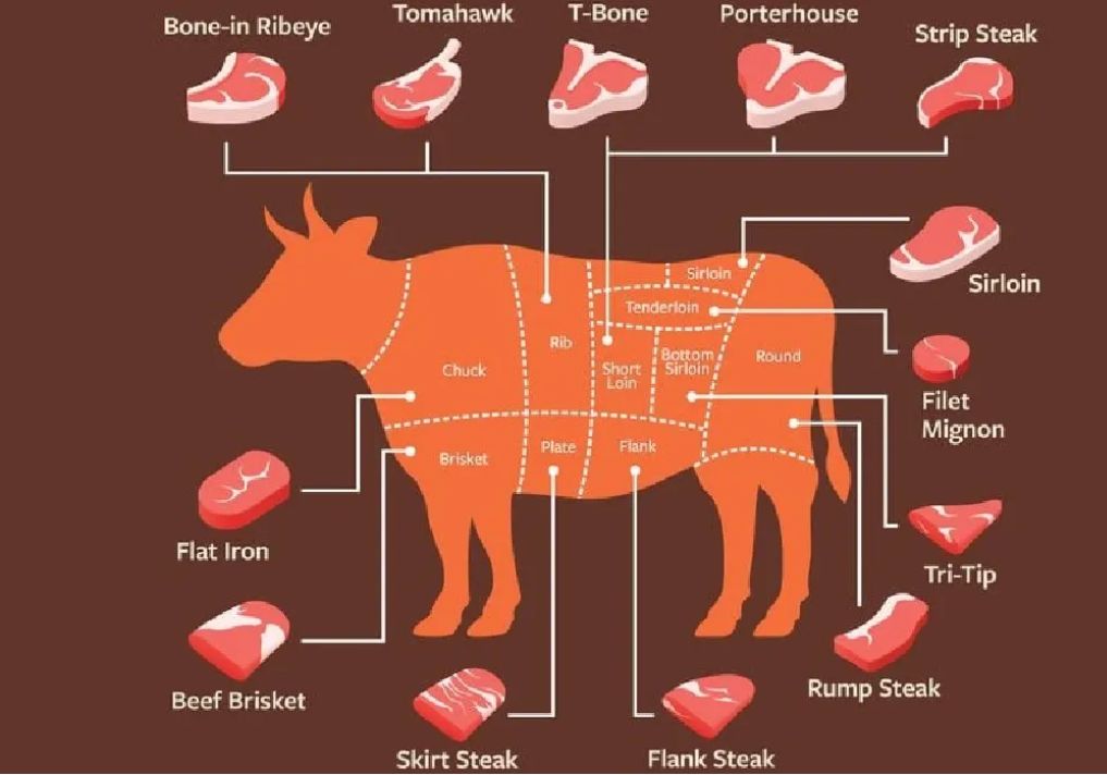 ����� �� ����� ����: ����������� � ��� �������� �����������