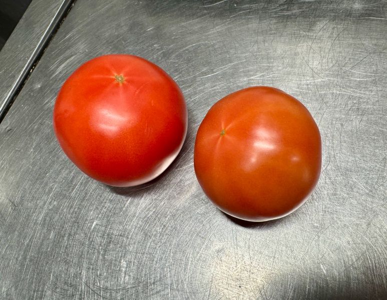 ��� ��������� ����� ��� ��������� ������� ���������