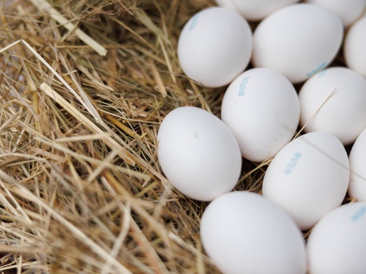 ��� ����������� ����, ����� ��� ����� ��������� �� ��������