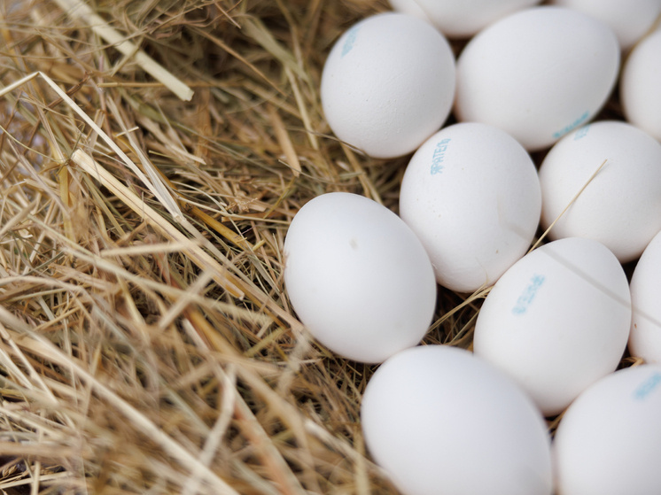 Как приготовить яйца, чтобы они легко очищались от скорлупы