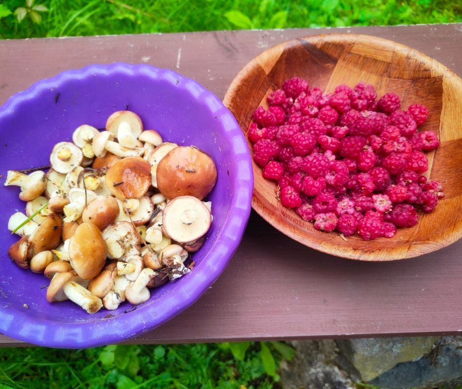 ������ ����: ������ ������� � ���������� ��������