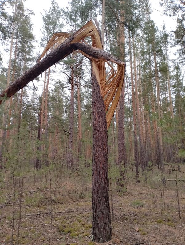 ���������� ������� �����: ������� �������, ������� �����������