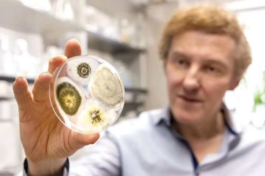 ������ ����������� ����, ��������� ���������� ���������� �������