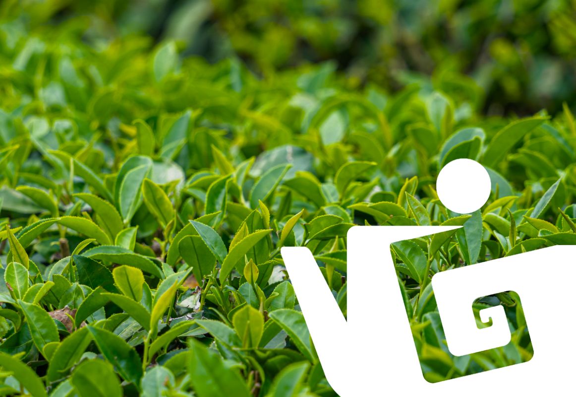 �����: ���, ��������� ����� ���� � ������