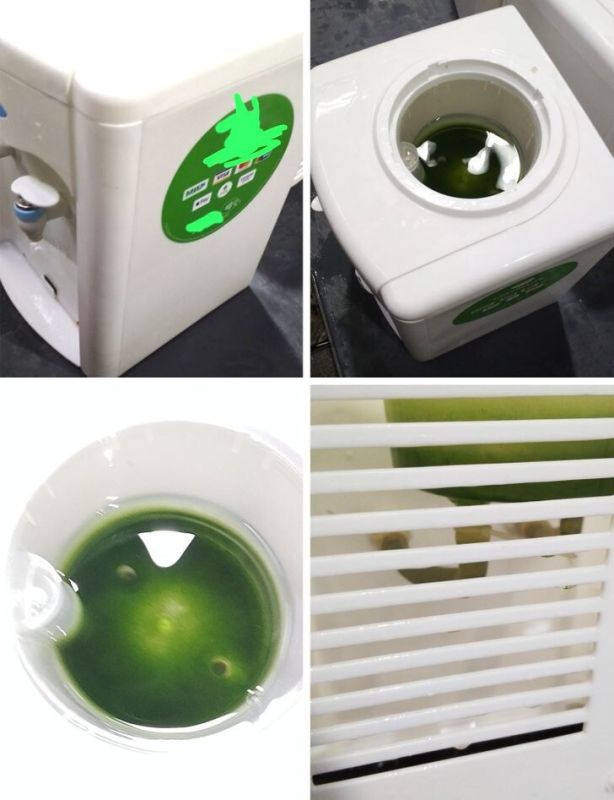 �� ��� ���� �� ������ ���������: � ������� ������ � �������� ������