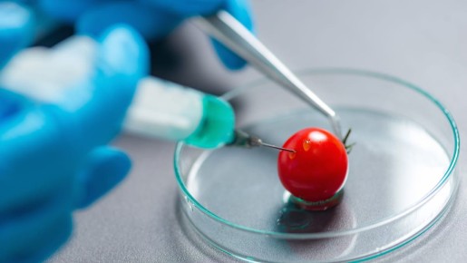 Генетически модифицированные продукты: Разрушаем мифы и открываем правду