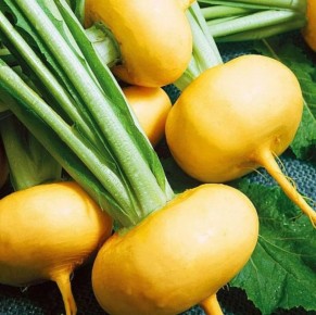 ���� ��� �� ������: 12 ���������� �������� �� ����� ����