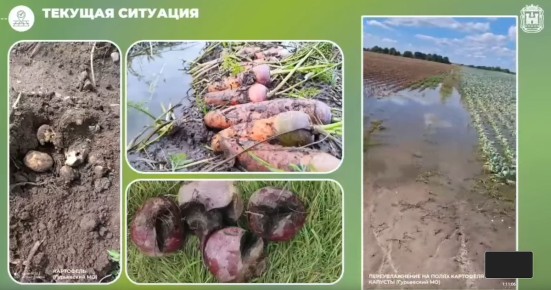 ������ ������ � ������������: ��������� �������� ������ �����