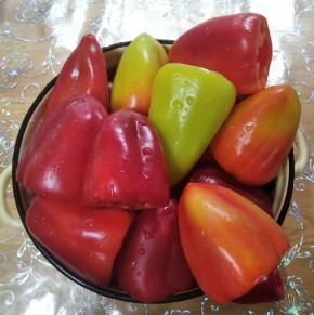 ��� ����������� ����� ��-���������: ������� � ������� ������