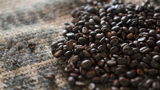 ����� ������ �� ������������: ��� �������� ����� ��������� � ��������