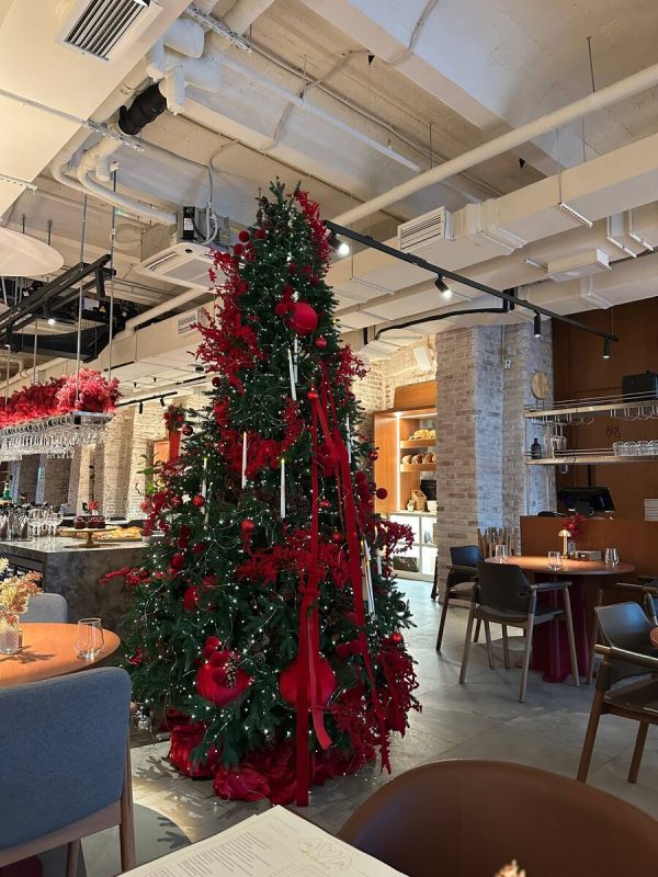 Очарование Ava Bistro: Вдохновение и Вкус на Новой Голландии