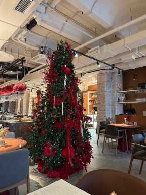 ���������� Ava Bistro: ����������� � ���� �� ����� ���������