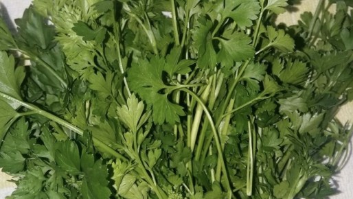 ��� ������� ����������: ����������� ������ � �������� ��������