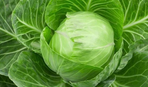 ��� ���������� ������� ��������� ������ �� ����� ����