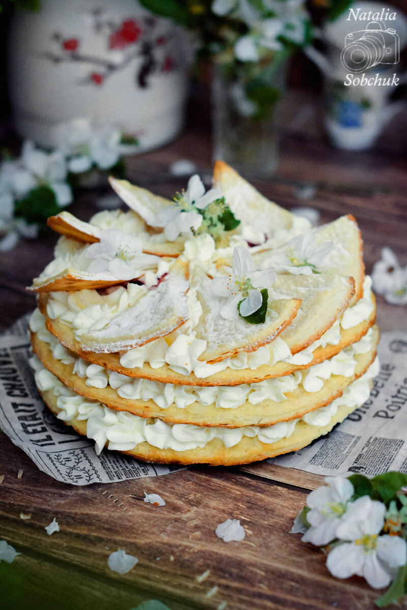 Торт «Фризский»: рецепт с нежнейшими слоеными коржами и сливовым кремом