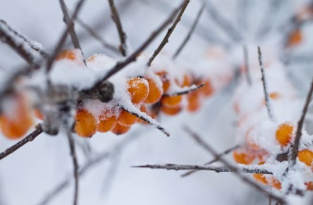 ���������� �����: ��� �������� �������� ������ �� ������ �������