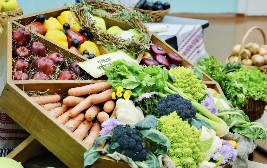 Гродненский аграрный университет запускает проект о пользе овощей в рационе