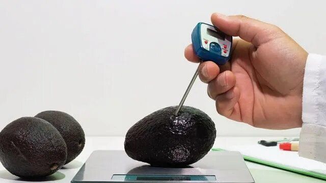 Чилийские ученые представили натуральное решение для защиты авокадо