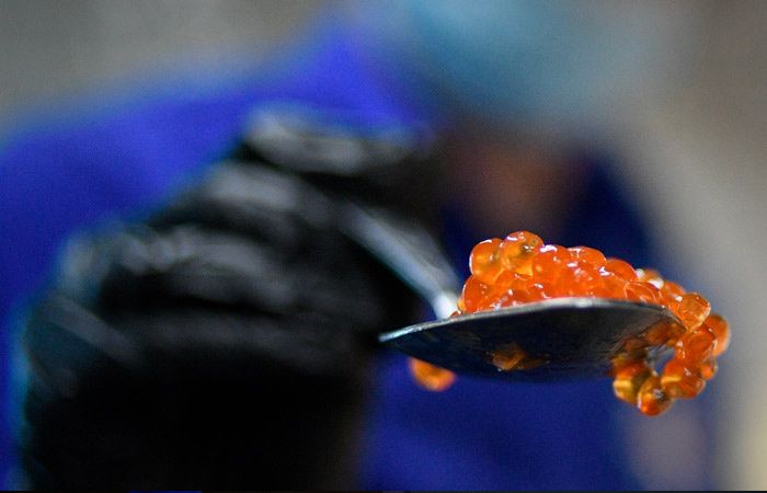 В Рыбном союзе уверяют: красной икры на Масленицу будет достаточно