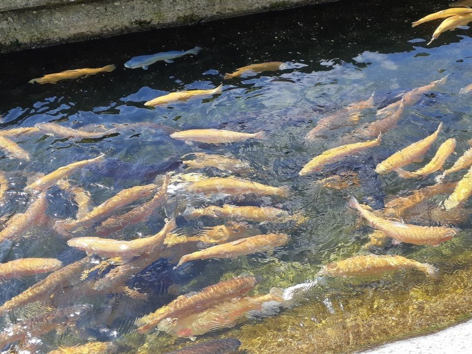 �������� ������� � ������ ����������: ���� � ������� ��������� 15%