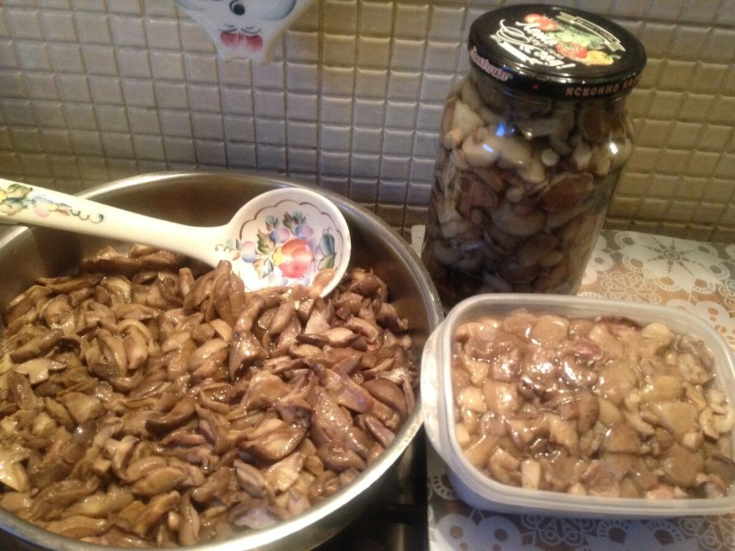 ��� ������ ���������� ����� �� ����: ������� ������� ��� �������