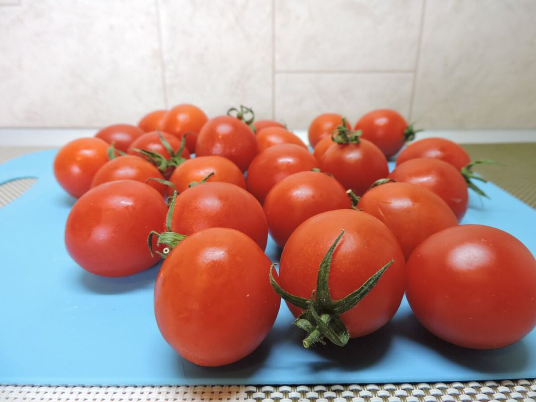 ��� ������ ������������ �������� � ������� ������