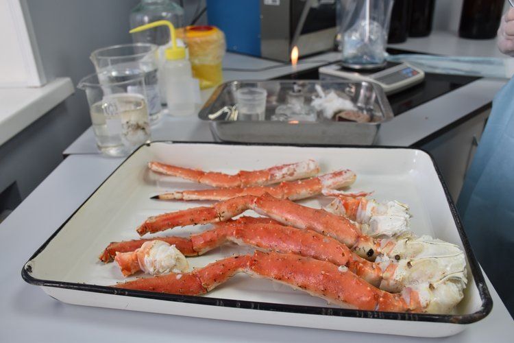 ������� ����������� ������ � ������ ����� ����� ����� 20 ����