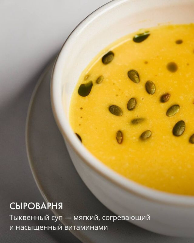 ������� �����: �������� ����� �� Novikov Group