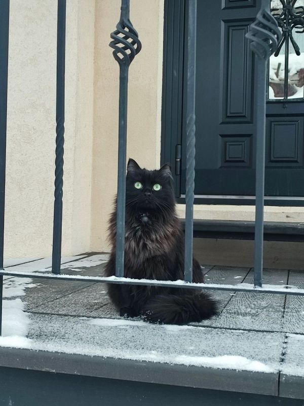 ���� ��� �������: ��� ������ �� ��������?