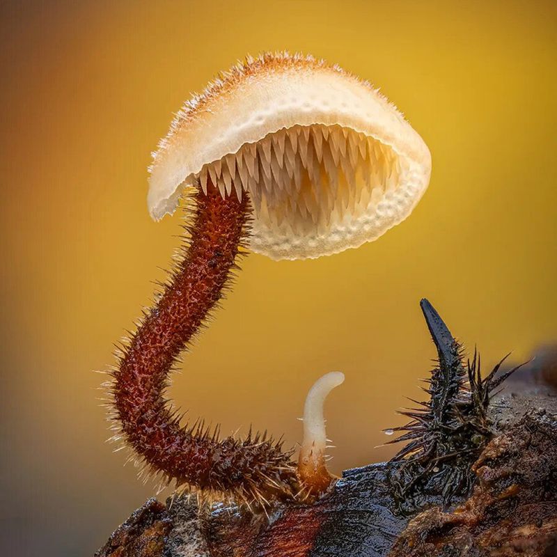 ��������� ����, � ������� �� �� �������